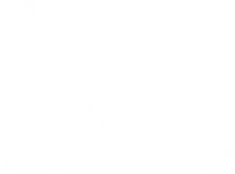 TradeFlex logo
