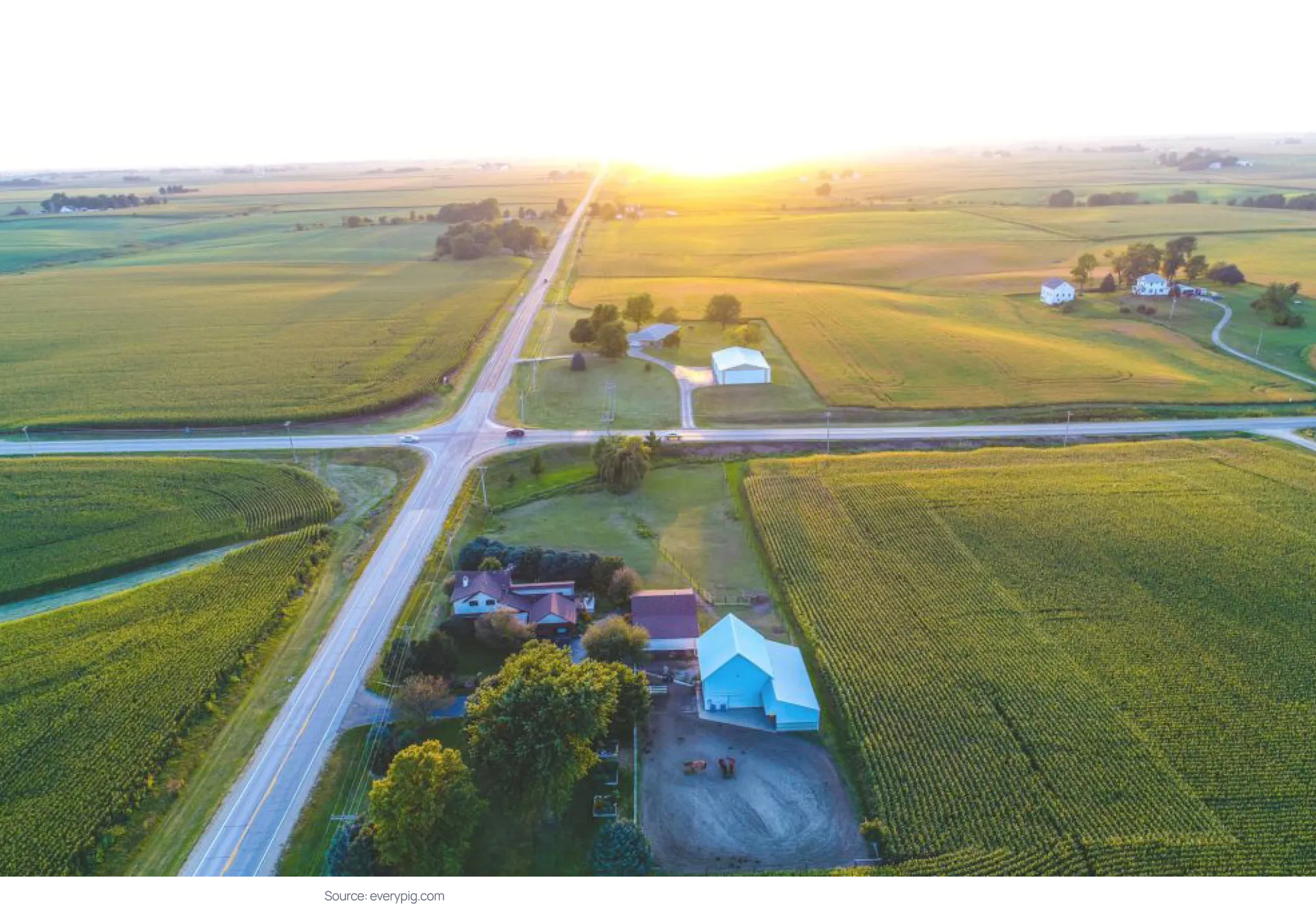 Aerial view of a rural pig farm at sunrise