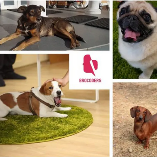 Collage showing four different dog breeds