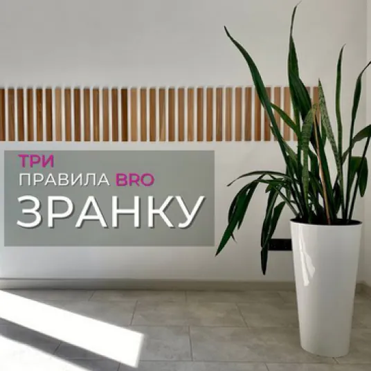 Minimalist office wall with wooden slats and a tall potted plant