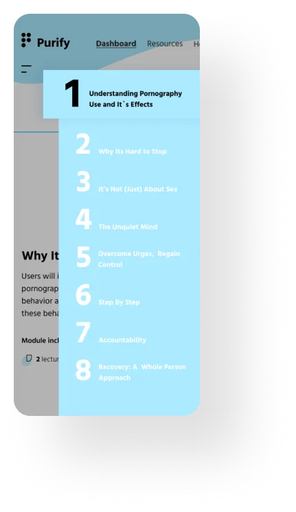 Pure blue sidebar presents FAQ about negative effect of pornography and how to prevent it