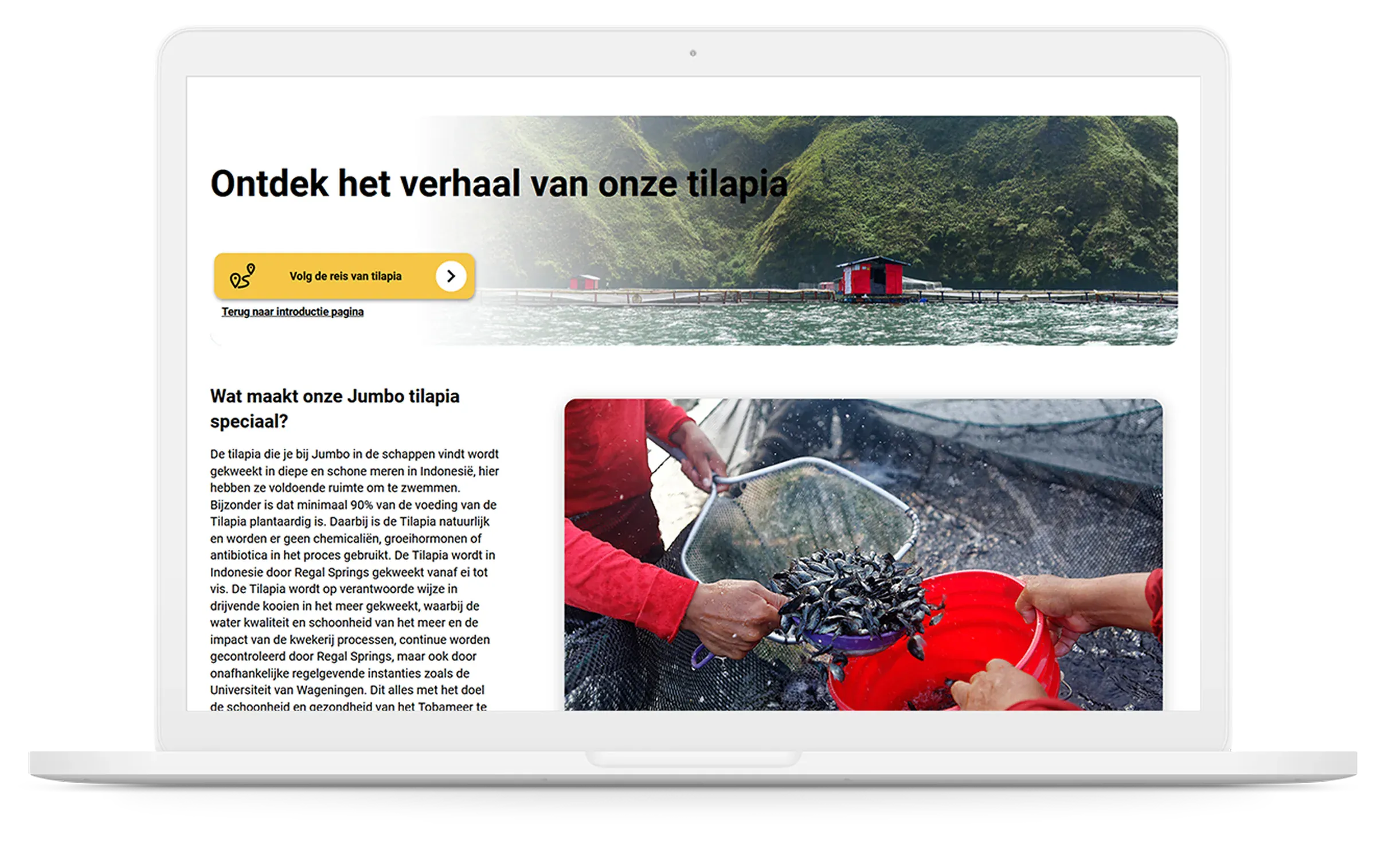 Laptop mockup displaying logistic platform with information about tilapia fish