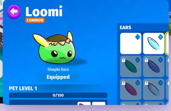 The pet editor, dressing a pet called Loomi
